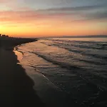 Margheritamare