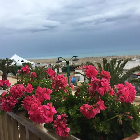 Margheritamare