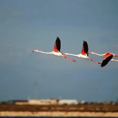 Margheritamare 3* マルゲリータ・ディ・サヴォイア