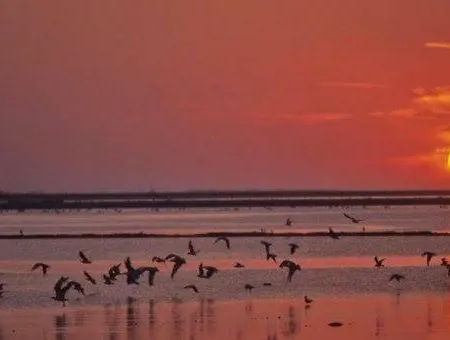 Margheritamare ベッド・アンド・ブレックファスト 3*