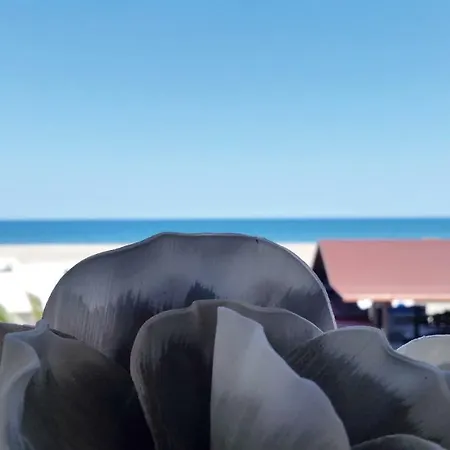 Margheritamare 3* Margherita di Savoia