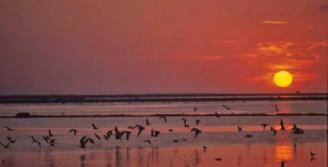 Margheritamare Alojamento de Acomodação e Pequeno-almoço 3*